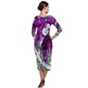 St. Cathy  Quarter Sleeve Midi Velour Bodycon Dress View2