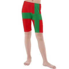 Bornholm Denmark Flag Kids  Mid Length Swim Shorts by tony4urban
