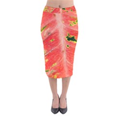 Aglonema Leaf Plant Pattern Flora Velvet Midi Pencil Skirt by danenraven