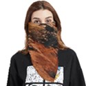 Painting Wallpaper Face Covering Bandana (Triangle) View1