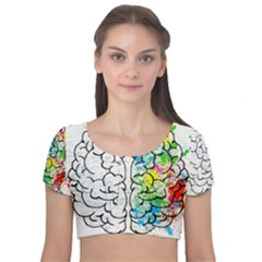Brain-mind-psychology-idea-drawing Velvet Short Sleeve Crop Top  by Jancukart