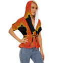Fractal Mandelbrot Set Pattern Art Lightweight Drawstring Hooded Top View3