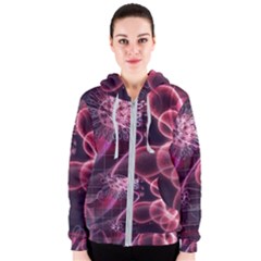 Formula Math Mathematics Physics Science Women s Zipper Hoodie by Jancukart