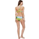 Large Banded Triangle Bikini Set View4