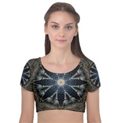 Mandala Ornament Background Velvet Short Sleeve Crop Top  by Uceng