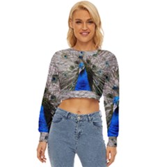 Peacock Bird Animal Feather Nature Colorful Lightweight Long Sleeve Sweatshirt by Ravend