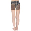 Rustic Charm Abstract Print Kids  Sports Shorts View2