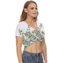 Gold And Green Eucalyptus Leaves Twist Front Crop Top View3