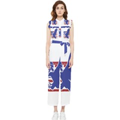Usa Flag Eagle Symbol American Bald Eagle Country Women s Frill Top Chiffon Jumpsuit by Wegoenart