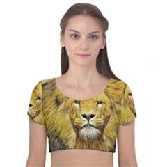 Lion Lioness Wildlife Hunter Velvet Short Sleeve Crop Top  by Mog4mog4