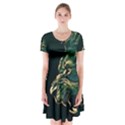 Angry Male Lion Short Sleeve V-neck Flare Dress View1