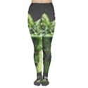 Drink Spinach Smooth Apple Ginger Tights View1