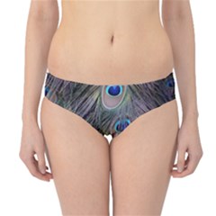 Peacock Feathers Peacock Bird Feathers Hipster Bikini Bottoms by Ndabl3x