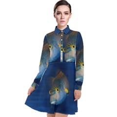 Fish Blue Animal Water Nature Long Sleeve Chiffon Shirt Dress by Amaryn4rt