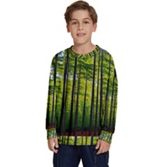 Green Forest Jungle Trees Nature Sunny Kids  Long Sleeve Jersey by Ravend