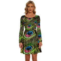 Peacock Feathers Color Plumage Long Sleeve Wide Neck Velvet Dress by Celenk