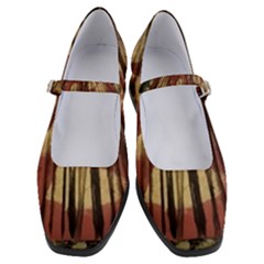 Acrylic Abstract Art Design  Women s Mary Jane Shoes by Rbudhiya