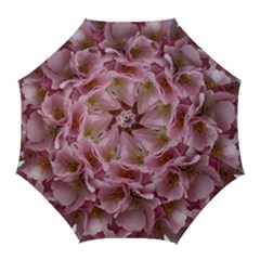 Cherry-blossoms Golf Umbrellas by Excel