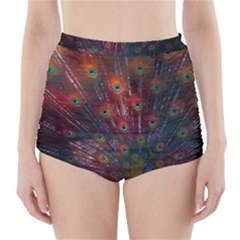 Peacock Feather Bird High-waisted Bikini Bottoms by Bedest