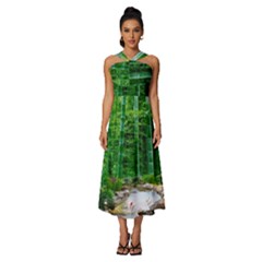 Bamboo Forest Squid Family Sleeveless Cross Front Cocktail Midi Chiffon Dress by Grandong
