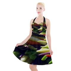 Bright Peppers Halter Party Swing Dress  by Ket1n9