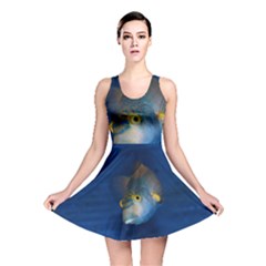 Fish Blue Animal Water Nature Reversible Skater Dress by Amaryn4rt