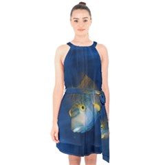 Fish Blue Animal Water Nature Halter Collar Waist Tie Chiffon Dress by Amaryn4rt