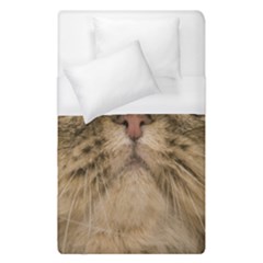 Cute Persian Catface In Closeup Duvet Cover (single Size) by Amaryn4rt