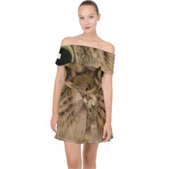 Cute Persian Catface In Closeup Off Shoulder Chiffon Dress by Amaryn4rt