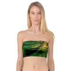 Landscape Night Moon Star Nature Bandeau Top by Pakjumat
