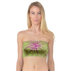 Dandelion Flower Background Nature Flora Drawing Bandeau Top by Pakjumat
