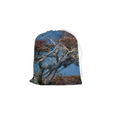 Botanical Wonders Of Argentina  Drawstring Pouch (small) by dflcprintsclothing