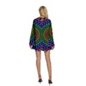 3d Psychedelic Shape Circle Dots Color Round Neck Long Sleeve Bohemian Style Chiffon Mini Dress View4