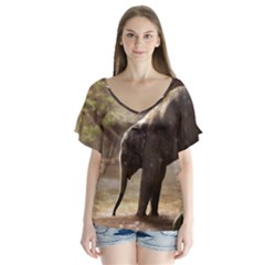 Baby Elephant Watering Hole V-neck Flutter Sleeve Top by Sarkoni