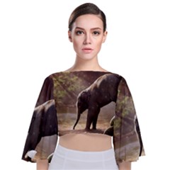 Baby Elephant Watering Hole Tie Back Butterfly Sleeve Chiffon Top by Sarkoni