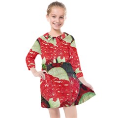 Poinsettia Christmas Star Plant Kids  Quarter Sleeve Shirt Dress by Sarkoni