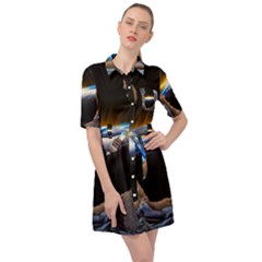 Door Breakthrough Door Sunburst Belted Shirt Dress by Amaryn4rt