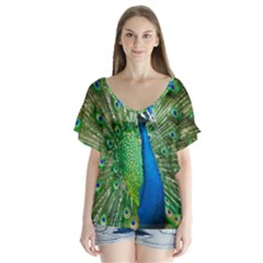 Peafowl Peacock V-neck Flutter Sleeve Top by Sarkoni