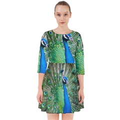 Peafowl Peacock Smock Dress by Sarkoni