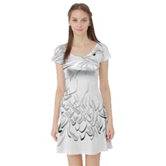 Eagle Birds Of Prey Raptor Short Sleeve Skater Dress by Modalart