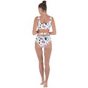 Vector Set Isolates With Cute Birds Scandinavian Style Bandaged Up Bikini Set  View2