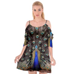 Peacock Cutout Spaghetti Strap Chiffon Dress by Ket1n9