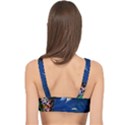 Marine Fishes Cage Up Bikini Top View2