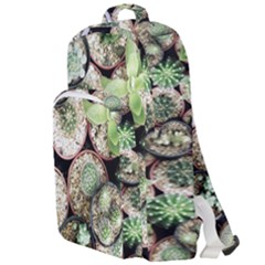 Cactus Nature Plant Desert Double Compartment Backpack by Bedest