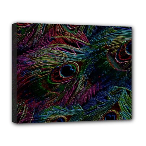 Peacock Feather Paradise Deluxe Canvas 20  X 16  (stretched) by Cendanart