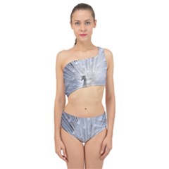 White Peacock Bird Spliced Up Two Piece Swimsuit by Ndabl3x