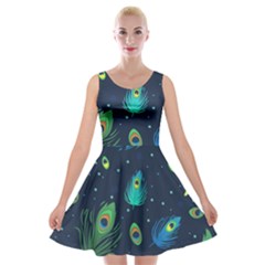 Feather, Bird, Pattern, Velvet Skater Dress by nateshop