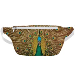 Peacock Feather Bird Peafowl Waist Bag  by Cemarart