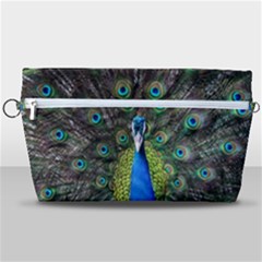 Peacock Bird Feathers Pheasant Nature Animal Texture Pattern Handbag Organizer by Bedest