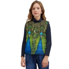 Peacock Feathers Bird Plumage Kid s Button Up Puffer Vest	 by Perong